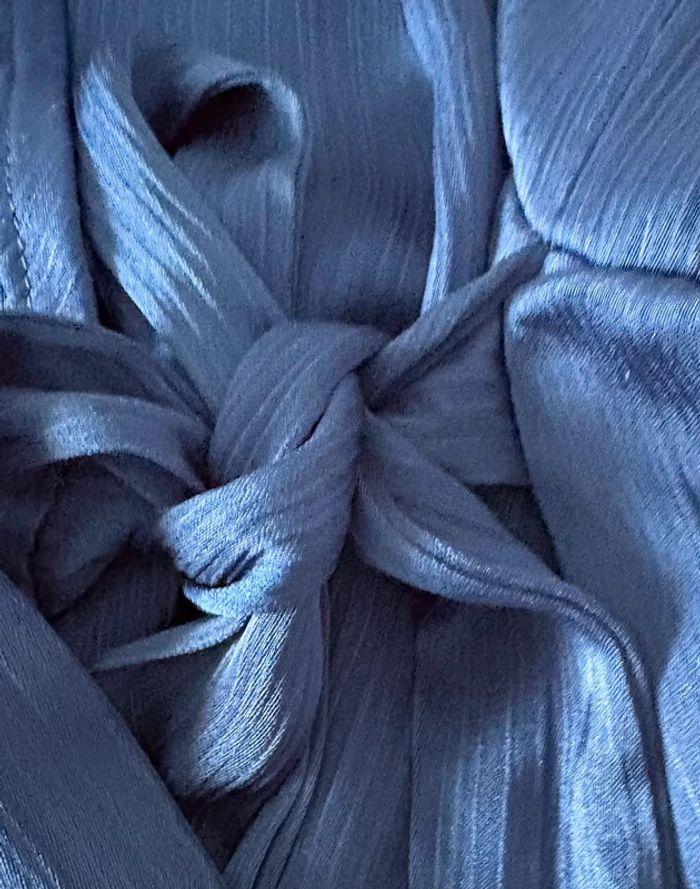 Robe bleu - photo numéro 7