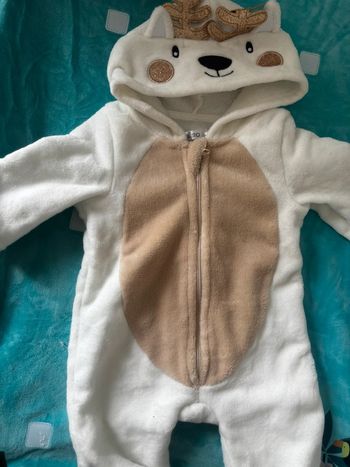 Combinaison reine de Noël