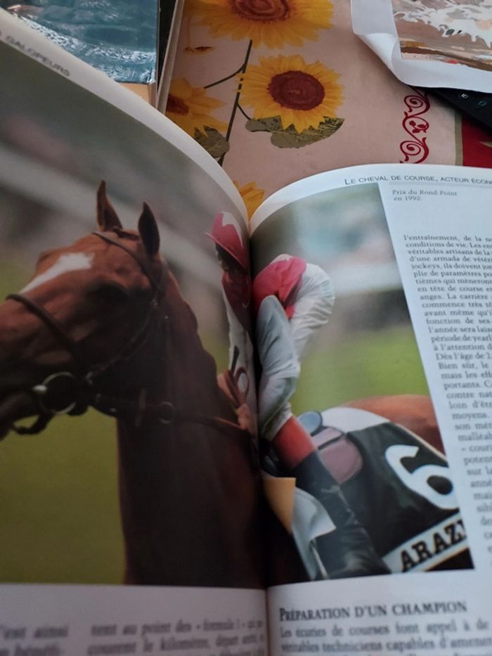 Superbe livre sur les cavalier - photo numéro 4