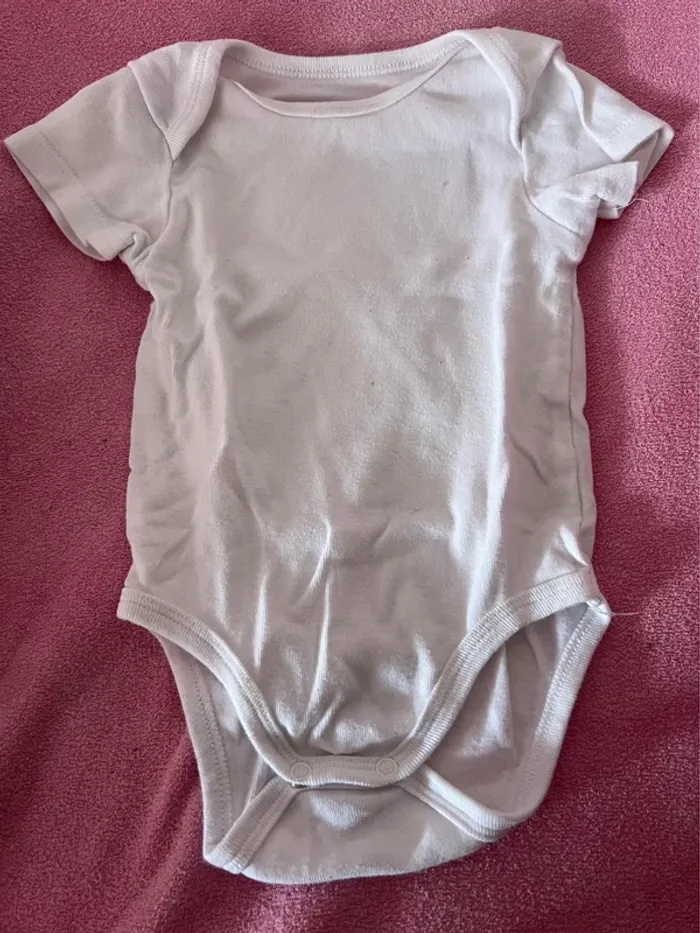 Lot de 16 bodys taille 6 mois - photo numéro 16