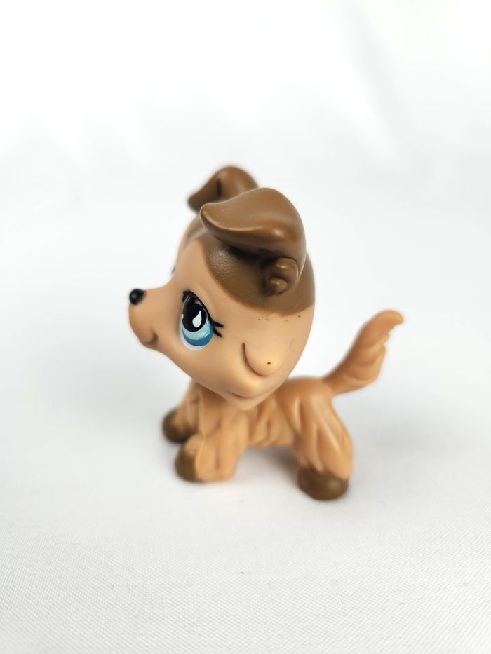 Littlest Petshop LPS Chien Border Collie #893 - photo numéro 4