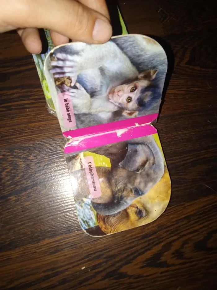 Lot de 2 livres - Mes amis tout doux - images - photo numéro 6