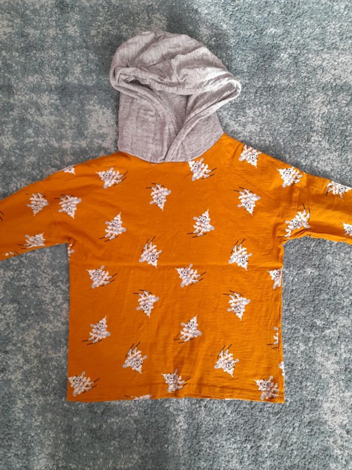 Lot tee-shirt a capuche jumeaux - photo numéro 2