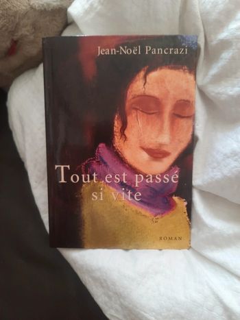 Roman tout est passé si vite