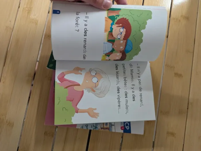 Lot livres pour apprendre à lire - photo numéro 5