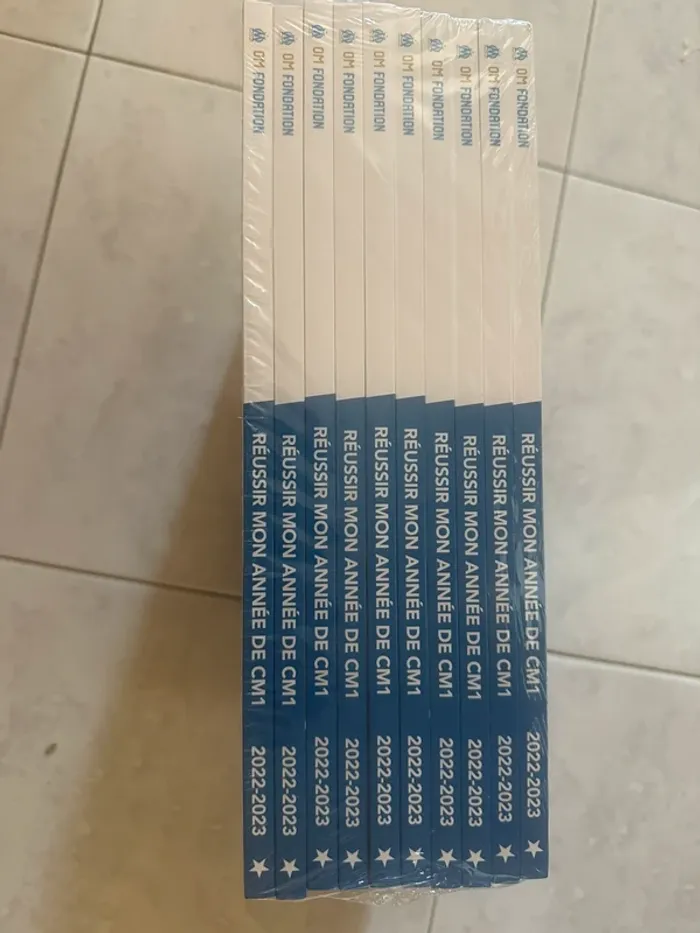 Fichier réussir mon année de cm1 - photo numéro 2