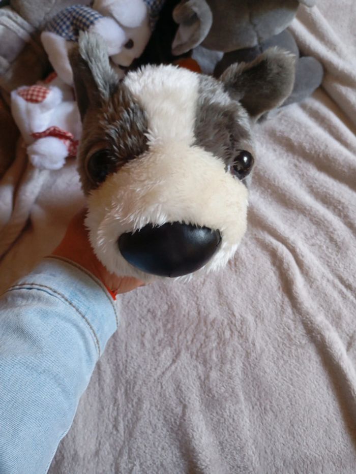 Peluche chien