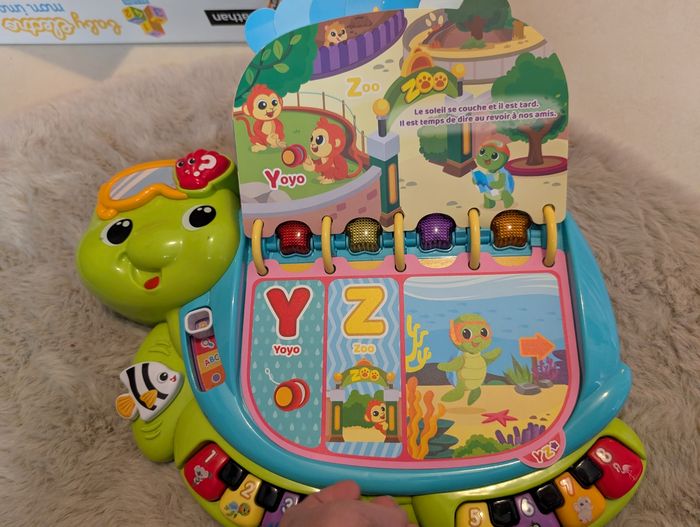 Thaïs la tortue - photo numéro 4