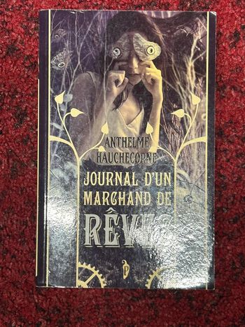 Livre journal d’un marchand de rêves