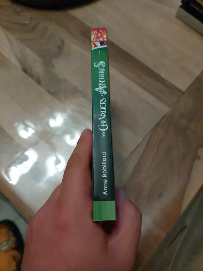 Les chevaliers d'Antarès, tome 1, de Anne Robillard - photo numéro 3