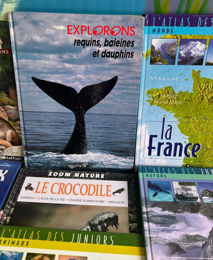 Atlas des juniors - photo numéro 5