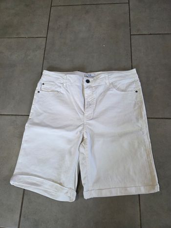 Short, bermuda