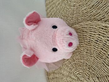 doudou cochon tutu