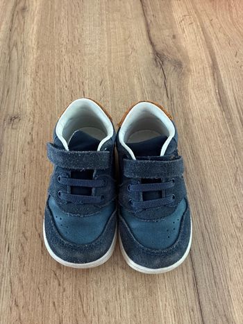Baskets Kickers 21