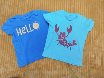 2 T-shirt manches courtes 