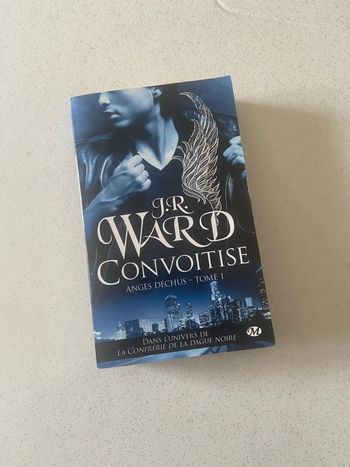 Livre Les anges déchus - Romance 