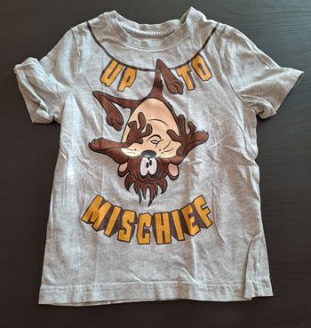 Tee shirt Taz 4A