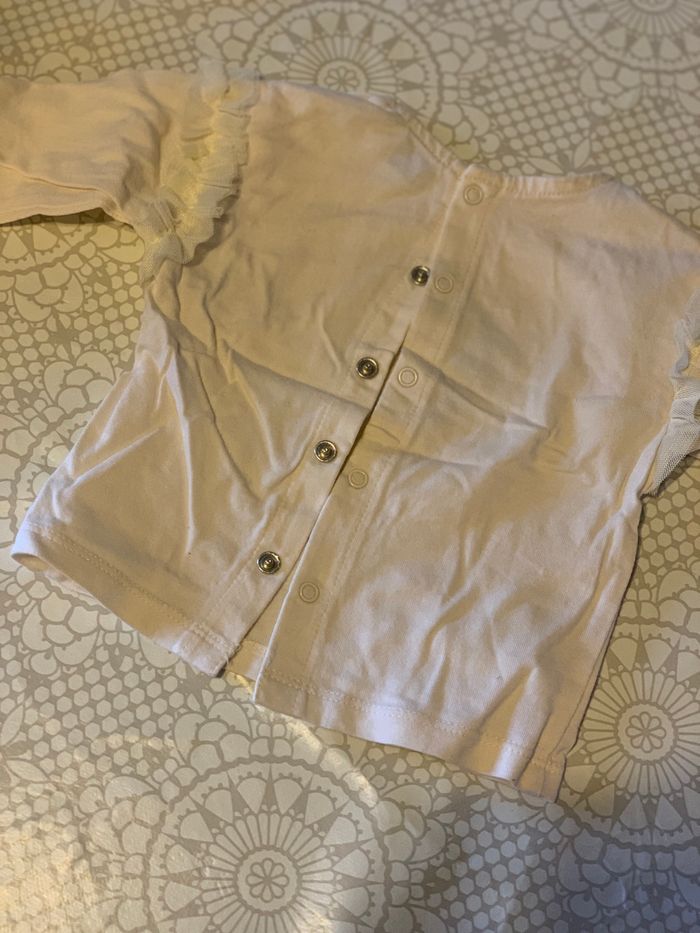 Hauts - photo numéro 4