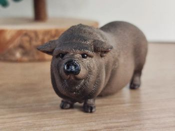 Schleich Cochon du Vietnam Figurine Animal de la ferme
