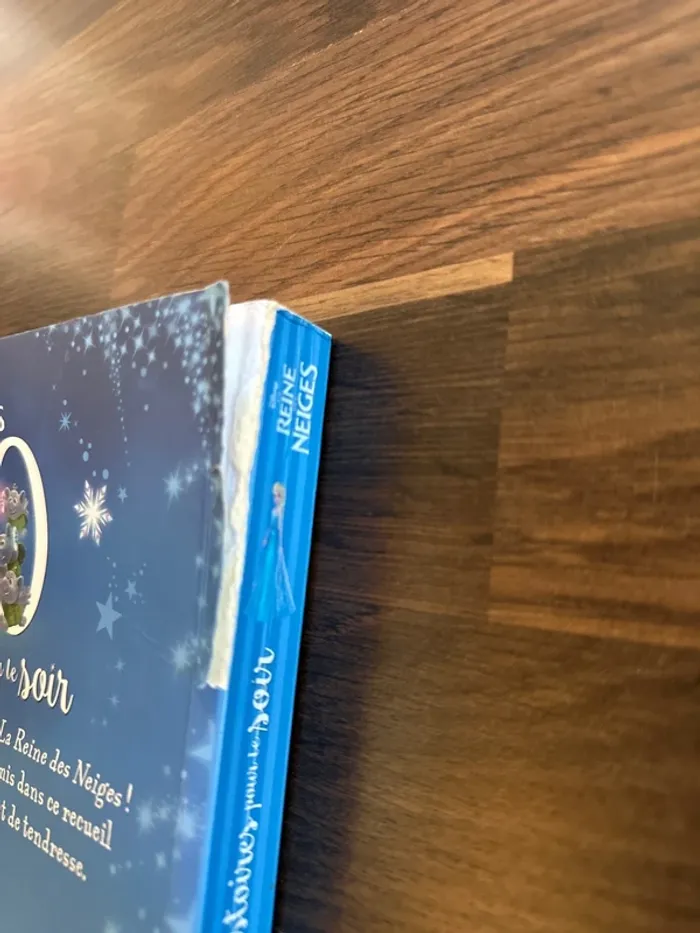 Livre reines des neiges - photo numéro 3