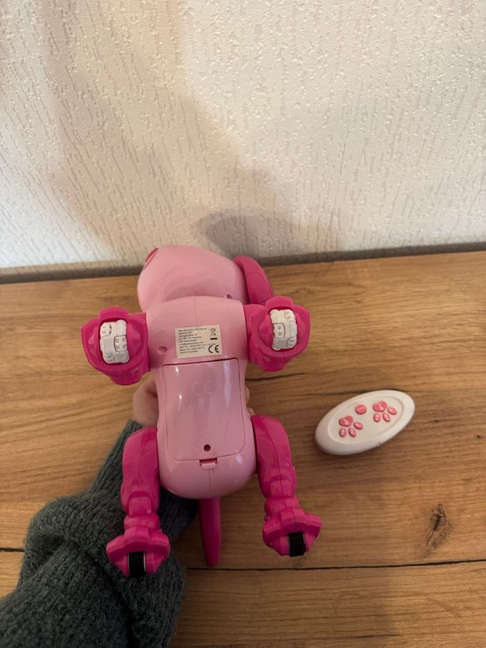 Chien électronique - photo numéro 4