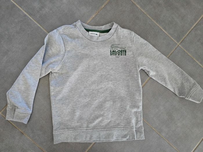 Sweat lacoste gris