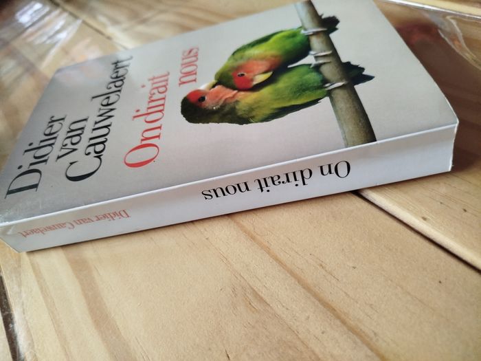 On dirait nous - photo numéro 2