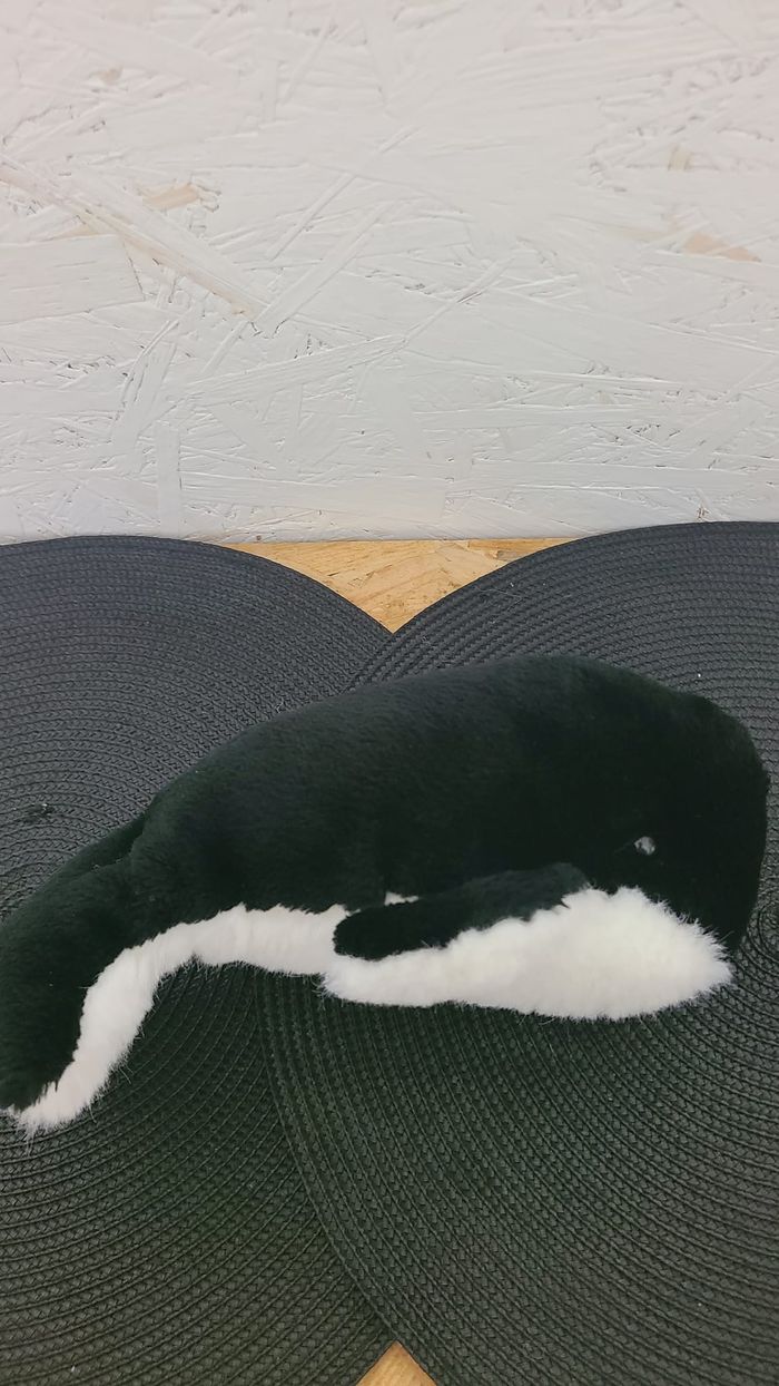 Doudou Marceau, le Baleineau - photo numéro 5