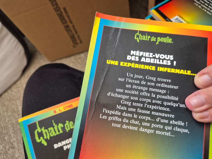 Gros lot livres chair de poule - photo numéro 3