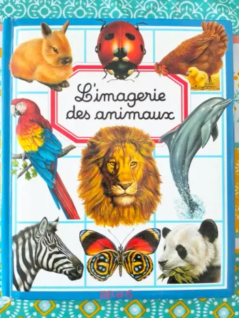 L'imagerie des animaux