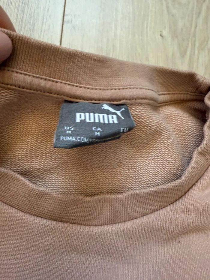 Pull puma - photo numéro 3