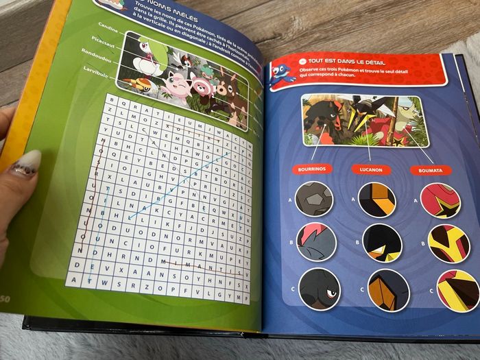 Livre Pokémon - photo numéro 7