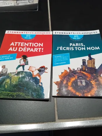 Lot 2 recueils de nouvelles BTS