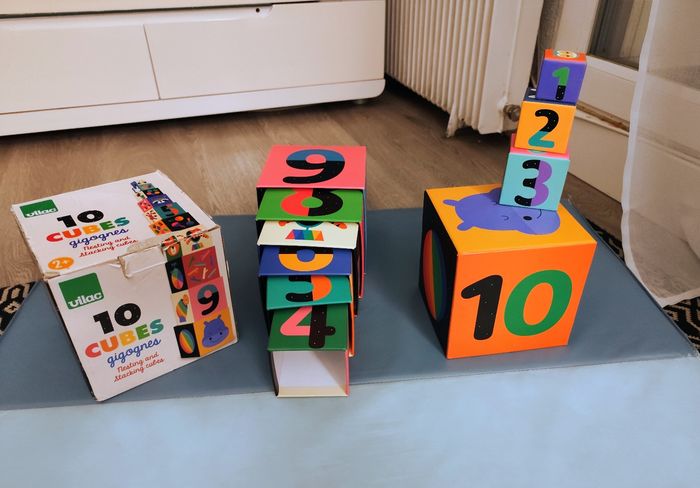 10 cubes gigognes de Vilac