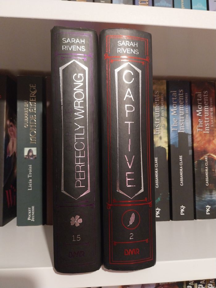 Romans Captive tomes 1.5 Perfectly Wrong et 2 Captive Reliés Collectors jaspage BMR Sarah Rivens Asher Ella Dark Romance - photo numéro 7