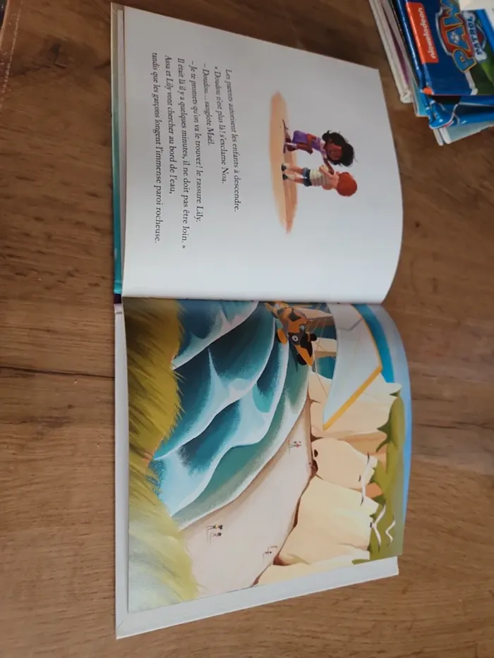 Livre mac do Aux falaises d'étretat - photo numéro 3