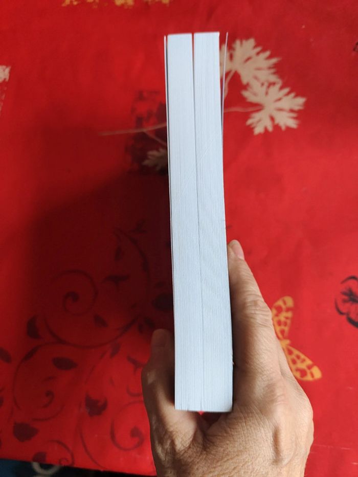 Stockhol'hommes tome 2 - photo numéro 4