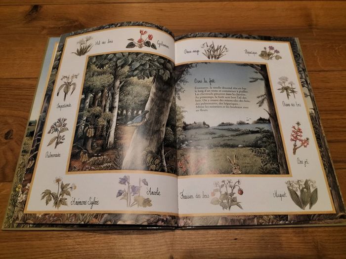 Livre Mon premier herbier - photo numéro 3