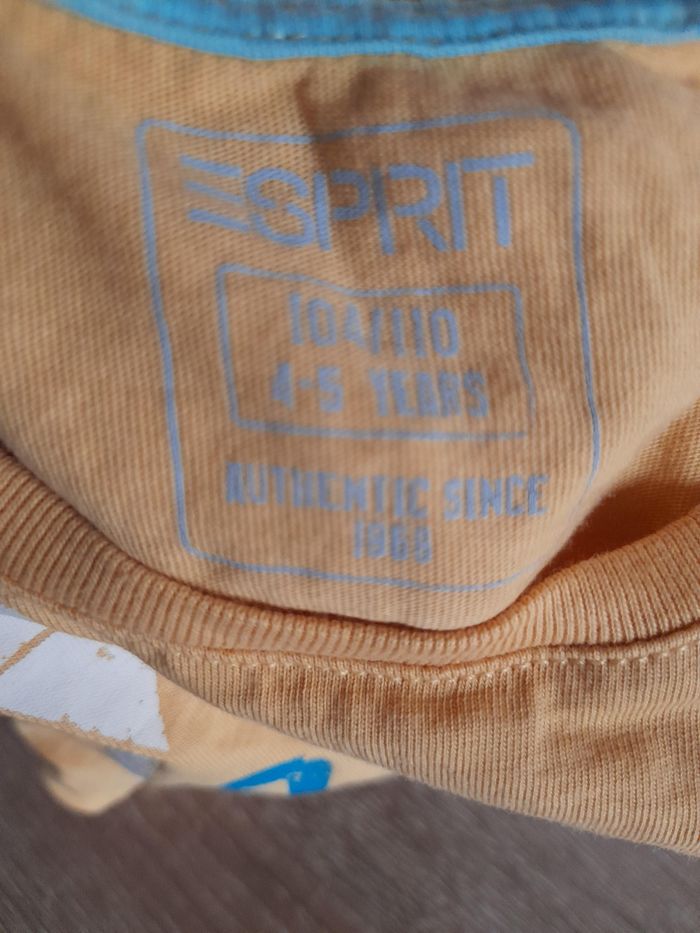 T-shirt - photo numéro 3