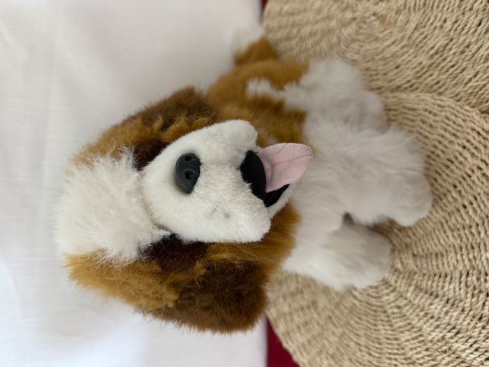 Peluche chien Saint-Bernard reves de peluche - photo numéro 6