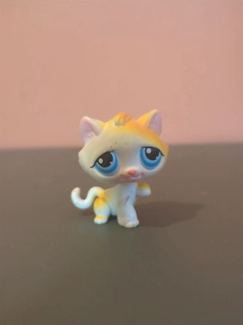 Littlest Petshop Lps Chat