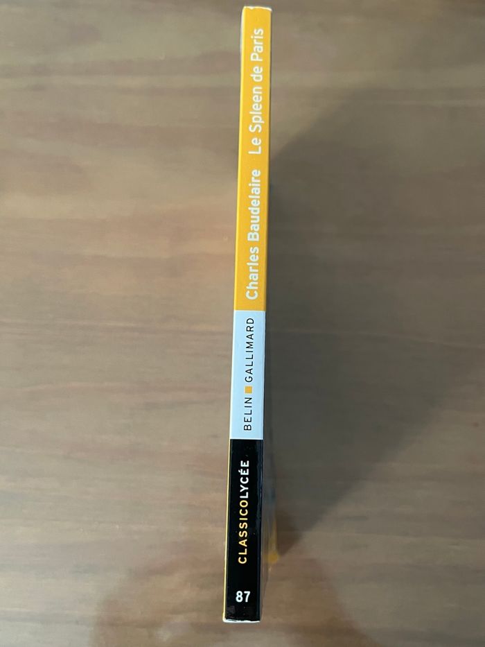 Le Spleen de Paris Charles Baudelaire Belin Gallimard - photo numéro 2