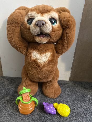 Ours fureal interactive