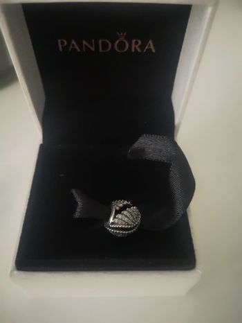 Charm Pandora