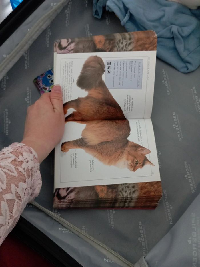 Livre dico chat - photo numéro 4