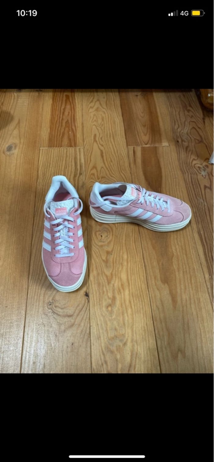 Gazelle - photo numéro 2