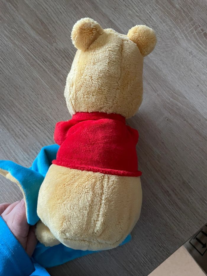 Doudou Winnie - photo numéro 4