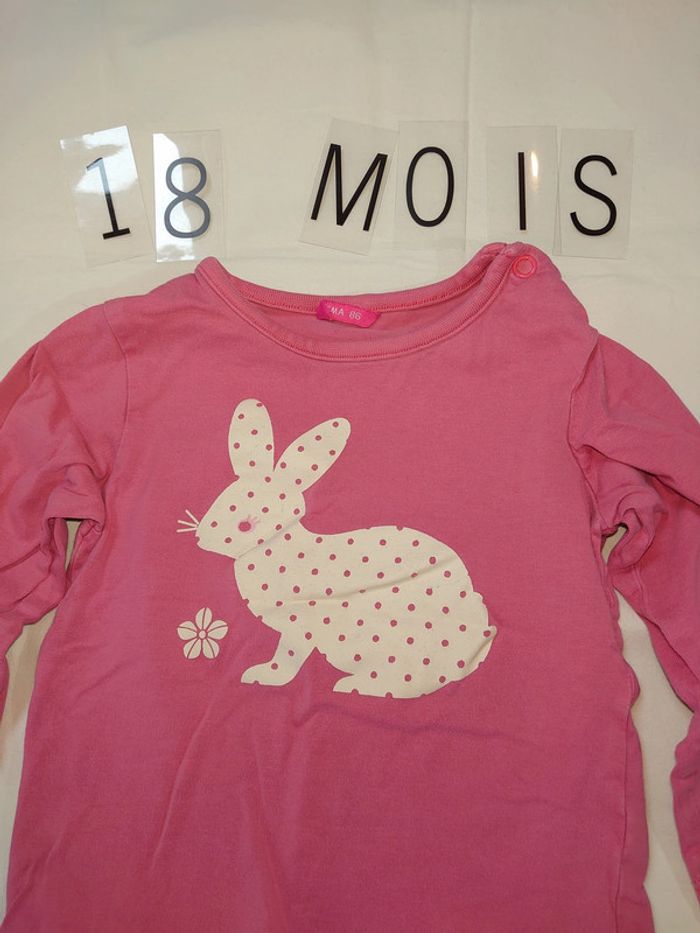 tee shirt manche longue 18 mois - photo numéro 2