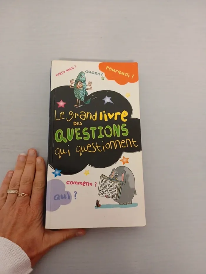 Le grand livre des questions qui questionnent - photo numéro 2
