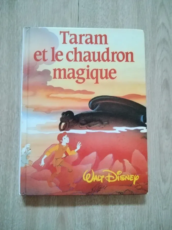 Lot gros livres Disney - photo numéro 7